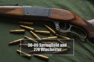 30-06 Springfield and 270 Winchester