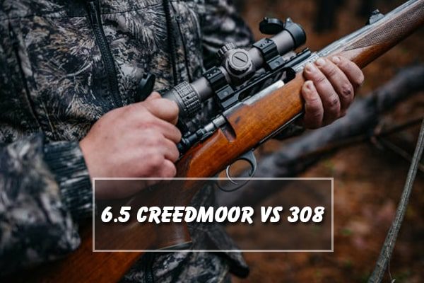 6.5 Creedmoor vs 308 Winchester