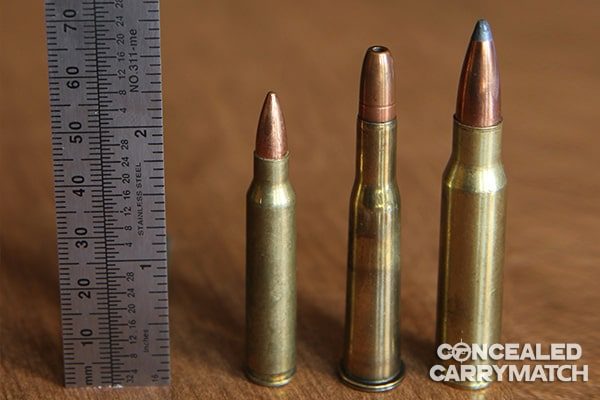 Overview Of 308 Winchester