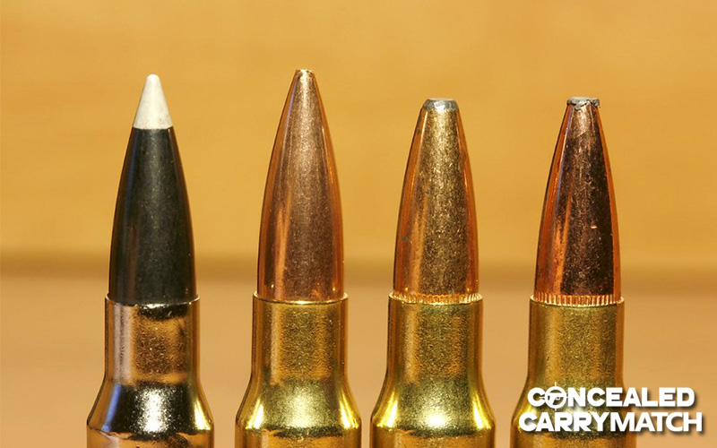 The 308 Winchester Cartridges