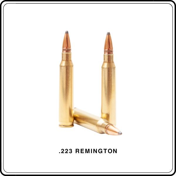 .223 Remington
