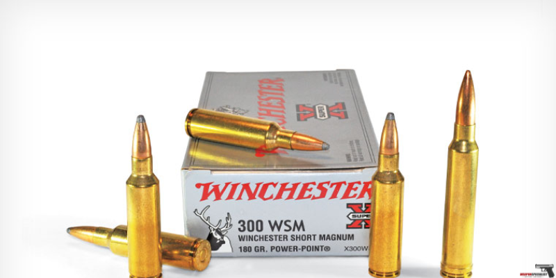 Effectiveness and Versatility of the 300 wsm ammo